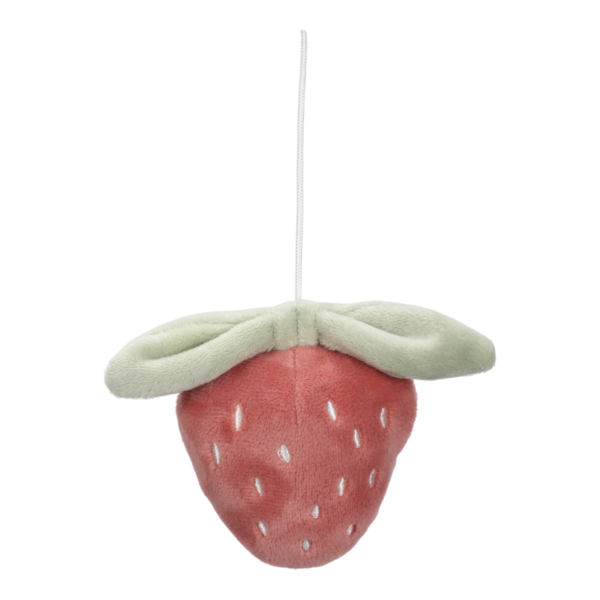 Giostrina musicale in legno - Fairy Garden FSC